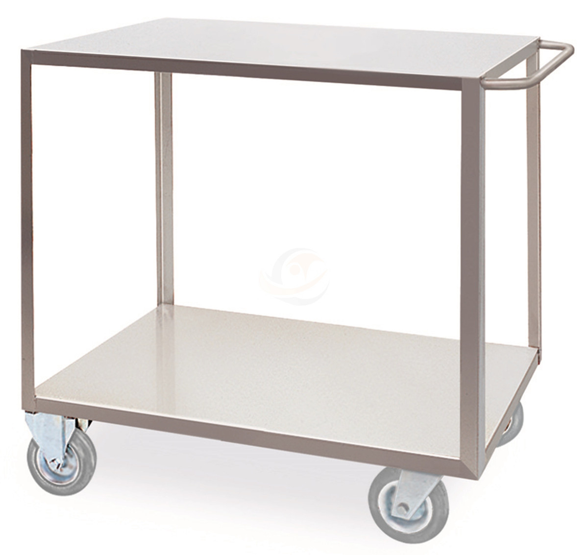 Portatutto Medio a 2 Piani in Acciaio Inox con Ruote Girevoli