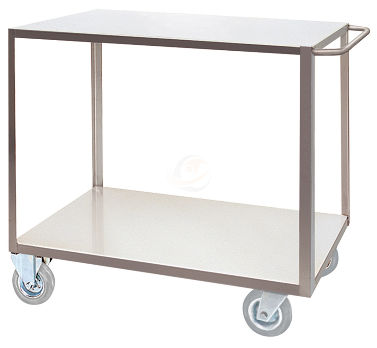 Portatutto Medio a 2 Piani in Acciaio Inox con Ruote Girevoli con Freno